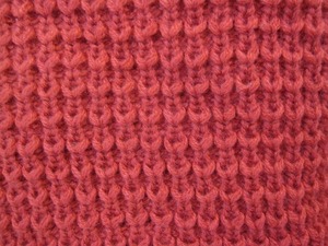 IMG_5880
