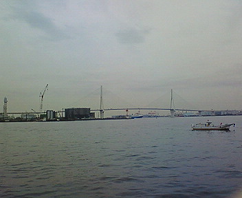 50604a90.jpg
