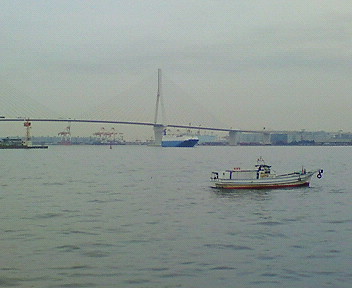 f99d3478.jpg