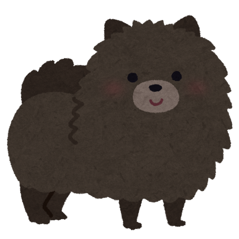 dog_pomeranian_black