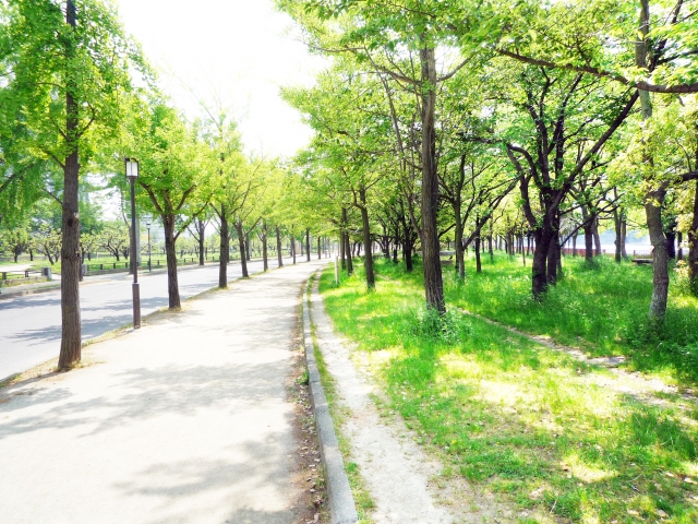 女子小学生「こんにちわー...」散歩中僕「あっ、こんにちわー（めっちゃええ子やん😊」