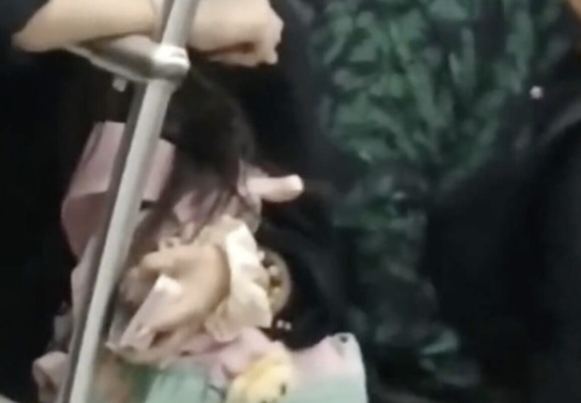 【悲報】チー牛さん、また電車でシコり始めてしまう・・・