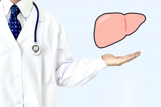 【画像】脂肪肝患ってるんだがｗｗｗｗｗｗｗｗ