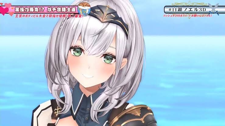 ノエル 3d 白銀