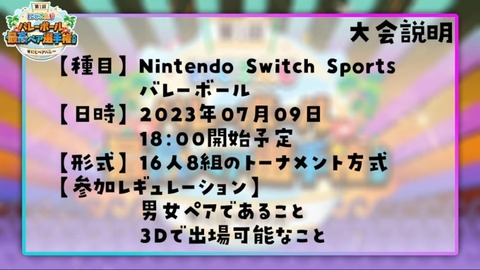 【#にじペアバレー 】大会説明会【レイン・パターソン_にじさんじ】 3-34 screenshot