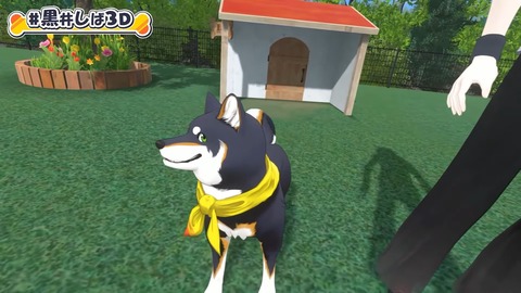 【#黒井しば3D お披露目】にじさんじの犬、黒井しばです！【にじさんじ】 8-27 screenshot