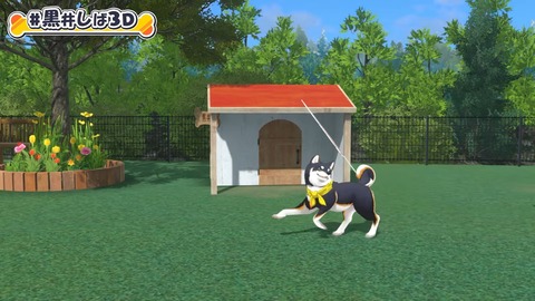 【#黒井しば3D お披露目】にじさんじの犬、黒井しばです！【にじさんじ】 5-12 screenshot