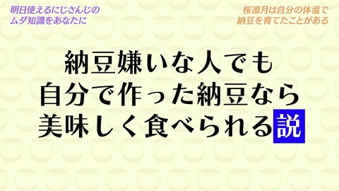 にじビアの泉 ~素晴らしきにじ知識~【#にじビア】 33-34 screenshot