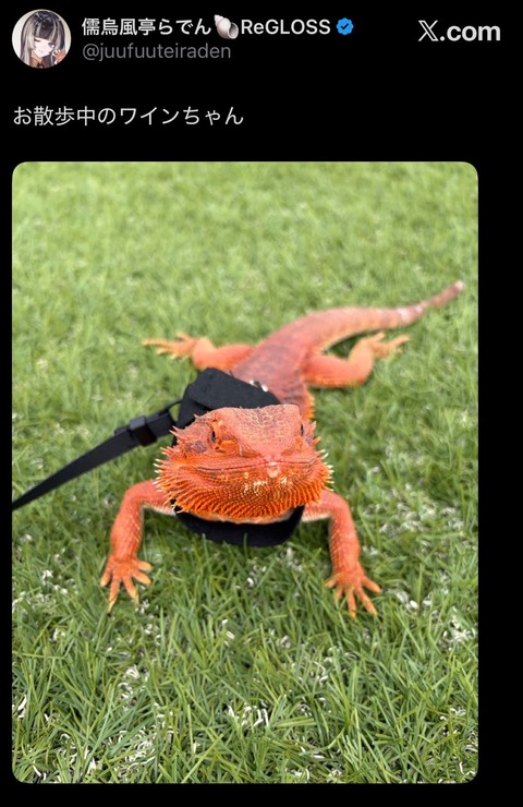 no title