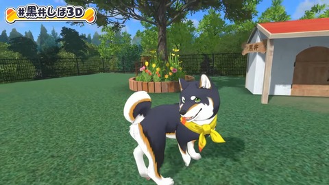 【#黒井しば3D お披露目】にじさんじの犬、黒井しばです！【にじさんじ】 14-29 screenshot