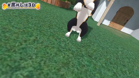 【#黒井しば3D お披露目】にじさんじの犬、黒井しばです！【にじさんじ】 14-58 screenshot