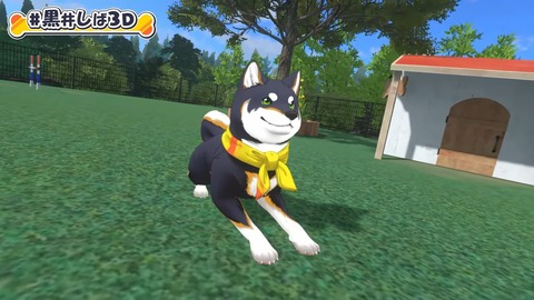 【#黒井しば3D お披露目】にじさんじの犬、黒井しばです！【にじさんじ】 13-31 screenshot