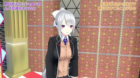 にじビアの泉 ~素晴らしきにじ知識~【#にじビア】 33-24 screenshot