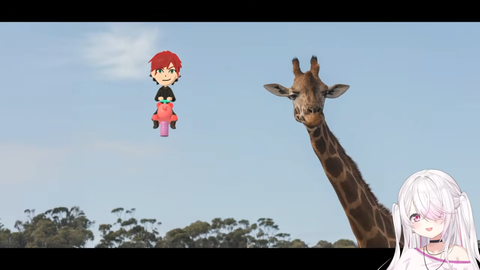 no title