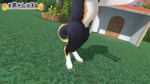 【#黒井しば3D お披露目】にじさんじの犬、黒井しばです！【にじさんじ】 18-27 screenshot