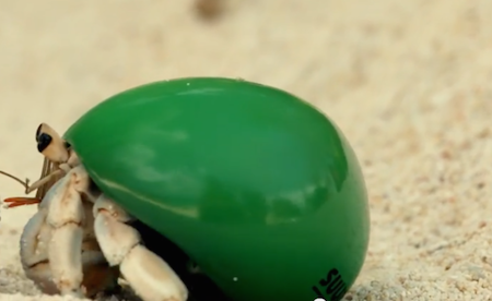 ヴィレヴァントップ画像