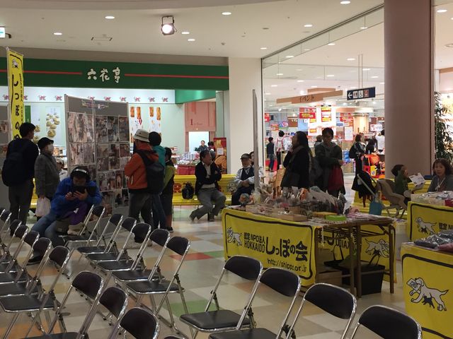 北海道新聞八日会プレゼンツ 17保護犬猫フェスタin北海道 アリオ札幌のライブレポ Voiceの だってｍｃ長いんだもん