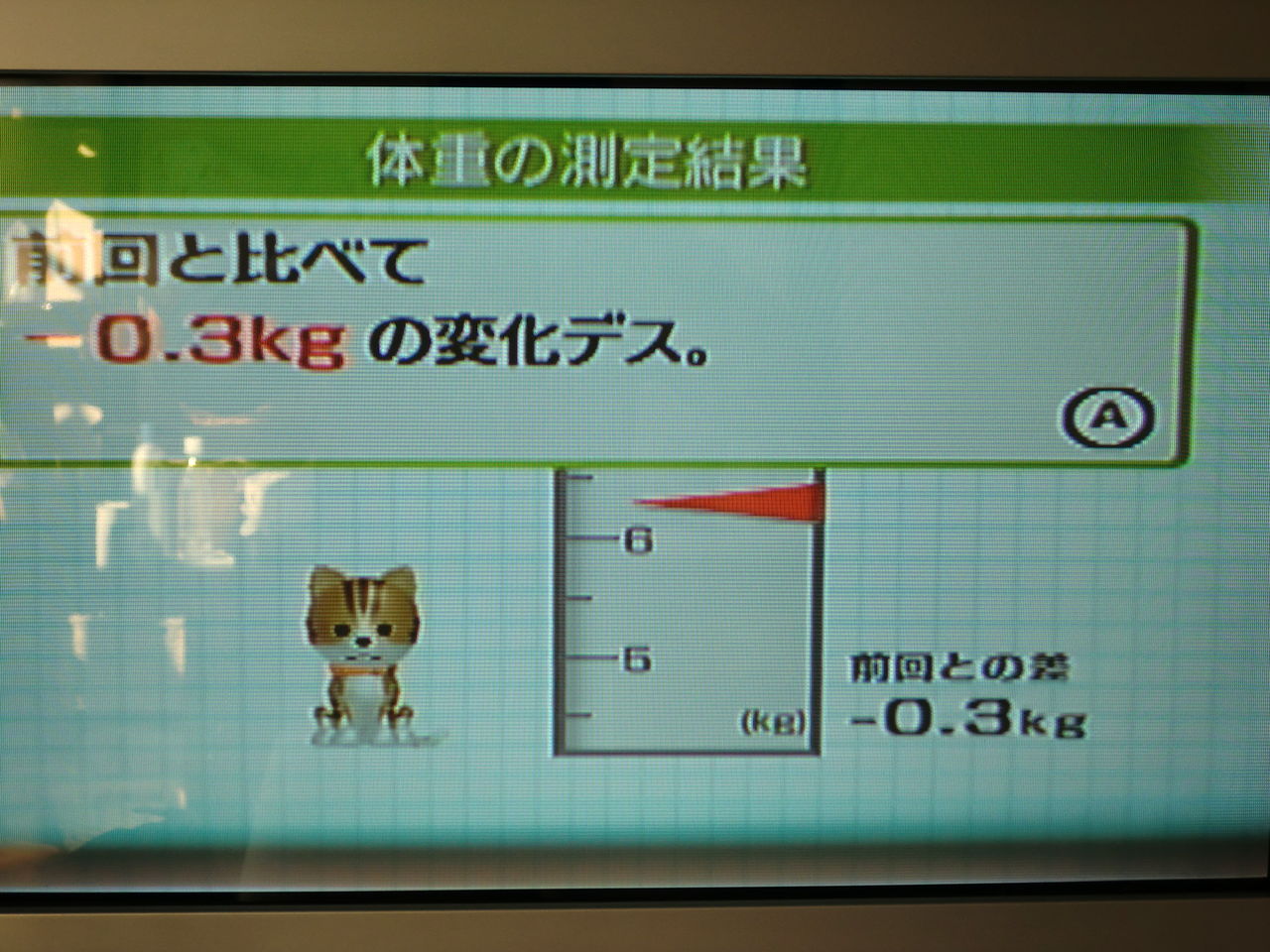 Wiiフィットで体重測定 11 1 14 ネオとテトとその他の日常日記