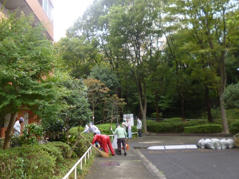 P1030384