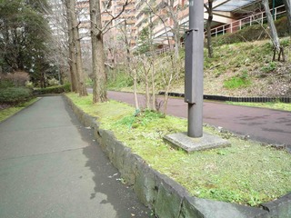 P1010859のコピー