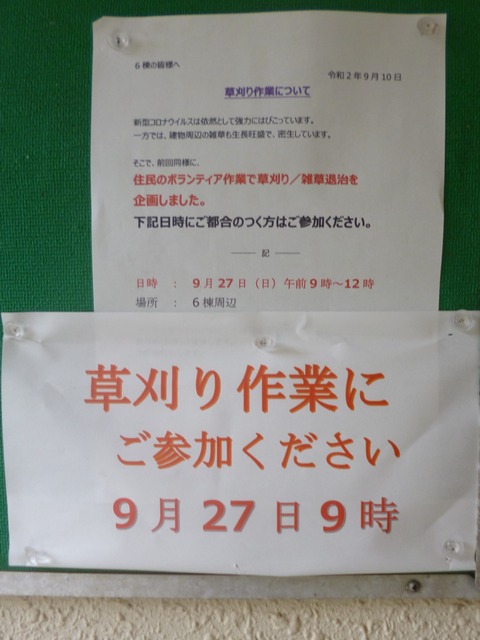 P1030378