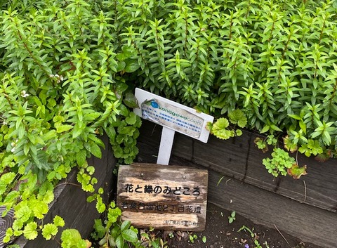 060706