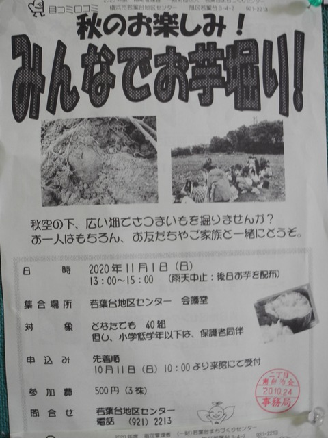 26みんなでお芋堀り