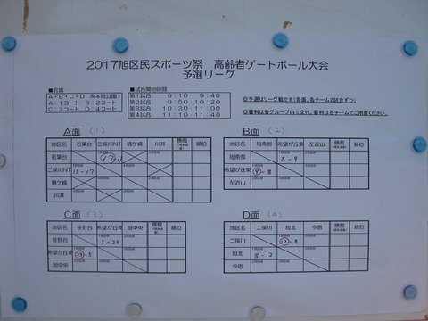 ゲートボール大会 (17)