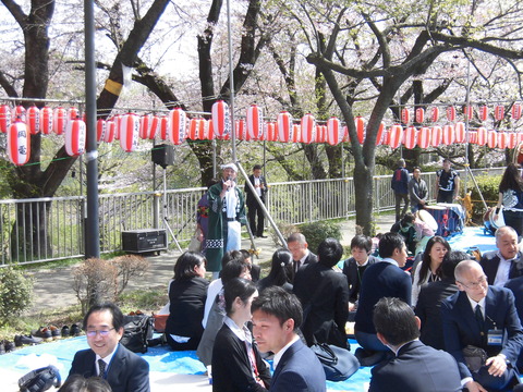 桜まつり、祭りの会