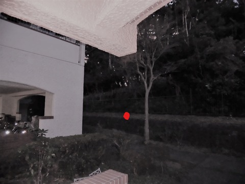 狸出現場所_LI