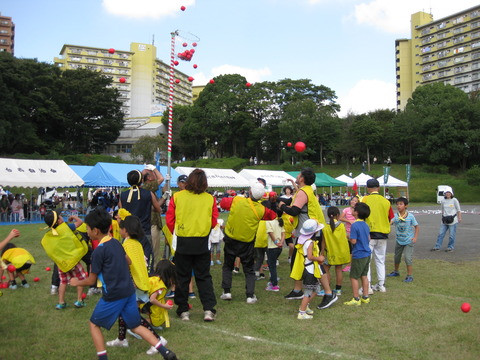 2017運動会―玉入れ (4)