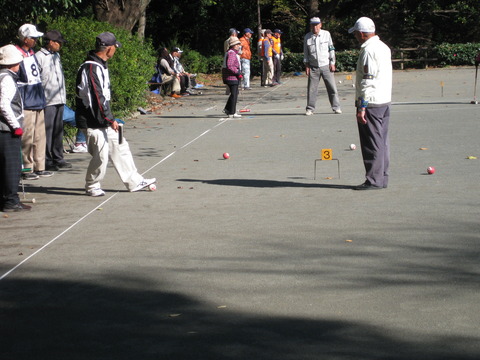 ゲートボール大会 (14)