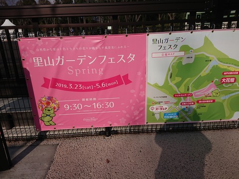 写真⑧ (2)