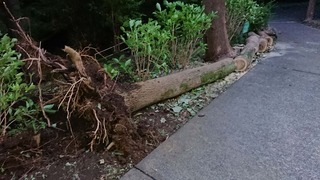 ９月８日１５号台風のコピー