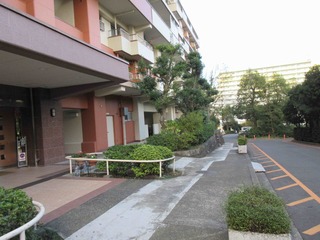 IMG_1356のコピー