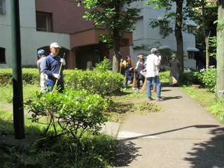 IMG_0103b