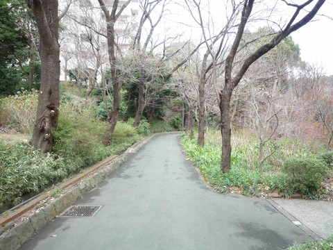 P1010869のコピー