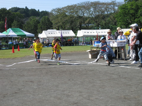 2017運動会ー徒競走 (21)