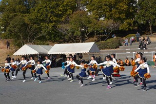 DSC_4228のコピー