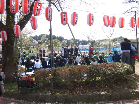 桜まつり若小