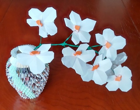 写真3 花瓶と胡蝶蘭
