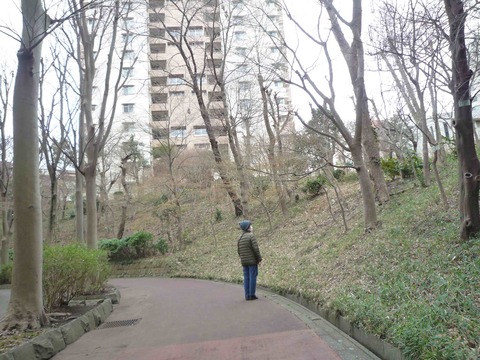 P1010841のコピー