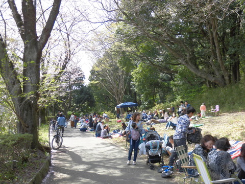 桜まつり、見物客