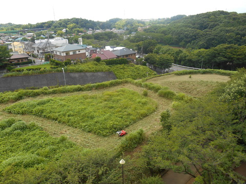 除草１