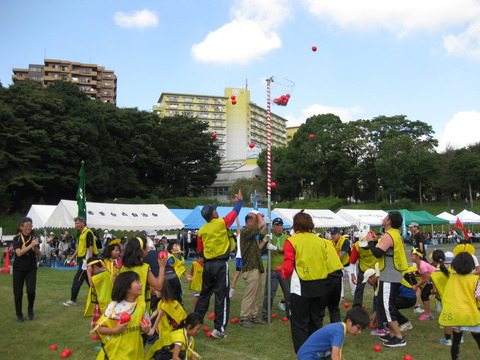 2017運動会―玉入れ (3)