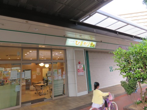 21053103ひまわり