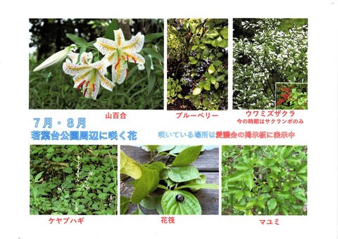 つどい４ｂ