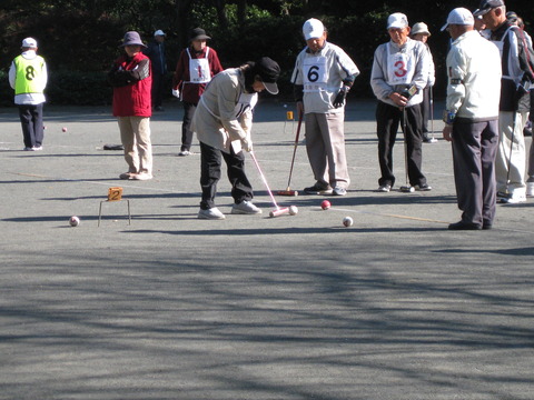 ゲートボール大会 (12)