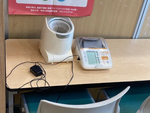 21053110ひまわり (2)