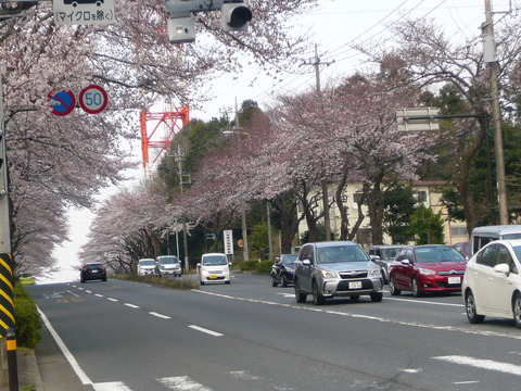 写真⑦ (2)